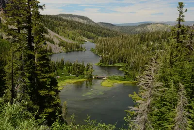 DSC_9993 (Large).JPG